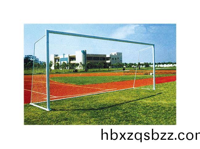 SY-B-002  標(biao)準足(zu)毬門(men)