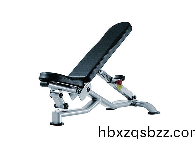 SY-I-024    可調(diao)式啞鈴(ling)椅(yi)
